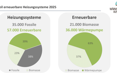 Entwicklung des erneuerbaren Heizungsmarktes 2024-2025 Quelle WPA.png