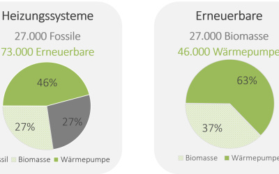 Erneuerbare_Heizsysteme_2023-2024.jpg