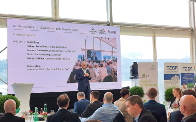 IMG_20240611_093648.jpg